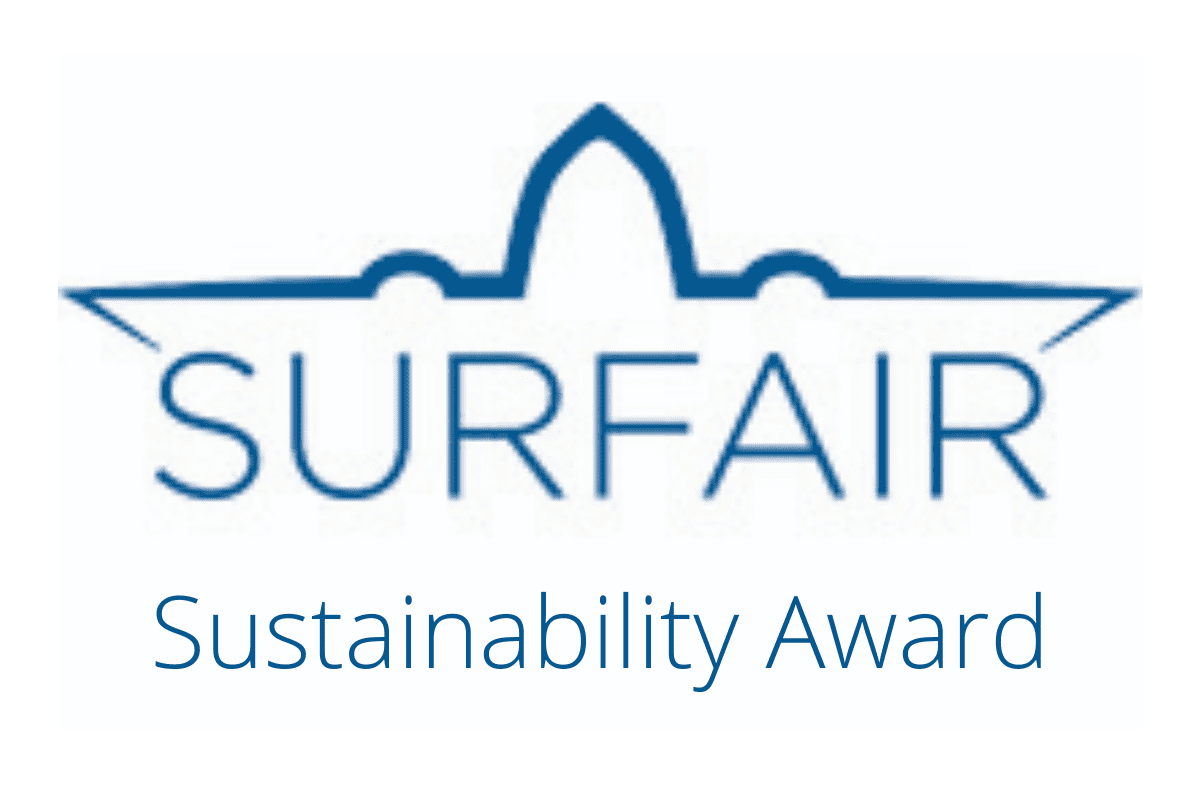 Sustainability Award thanks to our fast paint solution for composite